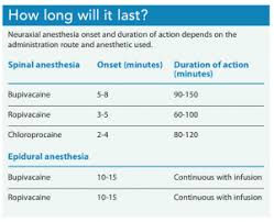 Image result for Active Labor Anesthesia