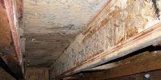 This type of mold is generally toxic and can cause a range of health issues from allergic reactions and respiratory infections to dizziness, nausea and depression. White Mold On Wood Floor Novocom Top