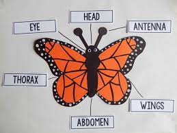 Love This Butterfly Craftivity With Labeling Activity For Learning About Insects And Life Cycles An Butterfly Lesson Plans Butterfly Lessons Butterfly Science