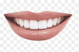 Mouth Png Images Pngegg Pin amazing png images that you like. mouth png images pngegg