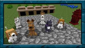 Take this quiz and test your knowledge! New Dogs Mod For Minecraft Pe For Android Apk Download