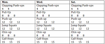 Beginners Pull Up Workout Pdf