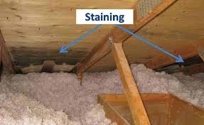 This Photo Shows Sheathing Mold Near The Ventilation Baffles In The Attic Of A Well Ventilated Well Constructed R Attic Ventilation Attic Vents Attic Storage