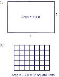 After group practice, students are taught a game to reinforce their learning. The Area Model Building Mathematical Connections In Mathematics Teacher Learning And Teaching Pk 12 Volume 113 Issue 3 2020
