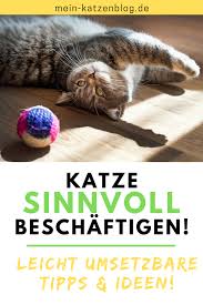Katze Sinnvoll Beschaftigen Einfach Umsetzbare Tipps Ideen In 2020 Cat Hacks Natural Pet Care Cats
