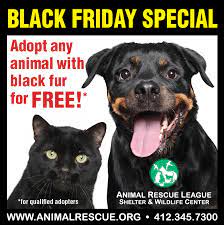 1 Day Only Friday Is Black Friday At Animal Rescue League 6620 Hamilton Ave Pittsburh Pa Adopt A Animal Rescue League Animal Rescue Rottweiler Puppies
