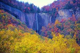 Surround Yourself With Fall Foliage On Hickory Nut Falls Trail An Easy 1 5 Mile Hike In North Carolina North Carolina Day Trips Day Trips Chimney Rock State Park