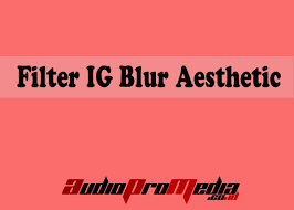 Apa itu filter ig blur aesthetic? Filter Ig Blur Aesthetic Terbaru 2021 Ini Nama Dan Cara Menggunakannya