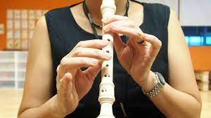 Selain jenis alat musik melodis ternyata ada jenis alat musik lainnya, yaitu alat musik ritmis dan alat musik harmonis. Burung Kakak Tua Recorder Tutorial Shps Youtube