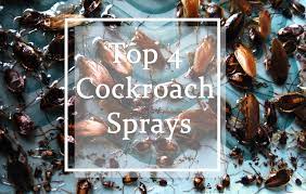 One comment on aunt fannie's cleaning & pest solution review. Top 12 Best Roach Sprays Reviewed 2019 Edition Pest Wiki