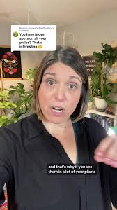 How to Fix My Red Bushing Philodendron Leaves Curling and Spotting Brown