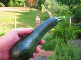 Squash (enough to fill at least 1 qt ziplock bag) can use zucchini also. How I Freeze Zucchini Kevin Lee Jacobs