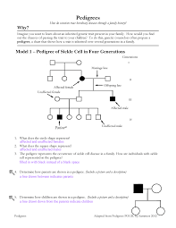 Rippletankse key student exploration osmosis gizmo answer pdf better ladvasourme s ownd explore. Pedigree Pogil Activity Real 1 Pedigrees How Do Scientists Trace Hereditary Diseases Through Family History Why Imagine You Want To Learn About An Inherited Studocu