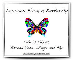 Butterfly Poems Quotes Butterfly Quotes Butterfly Poems Butterfly