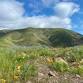 San Pedro Valley Park: Trail and Habitat... event in Pacifica, CA
