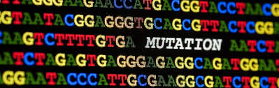 Point mutation concerns a single base. Mutations Answers In Genesis
