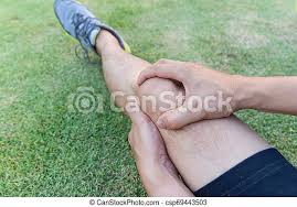 Instead of straight lines, their collagen becomes kinked. Tendon Knee Joint Problems On Man S Leg Tendon Knee Joint Problems On Man Leg From Exercise In The Stadium Canstock