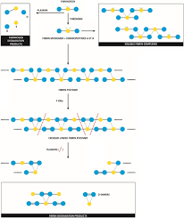 Blood tests can measure your level of fdps to see if you have a clotting disorder. Management Of The Thrombotic Risk Associated With Covid 19 Guidance For The Hemostasis Laboratory Thrombosis Journal Full Text
