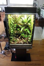 Pin By Vakulykva On Terrariums Diy Greenhouse Terrarium Vivarium