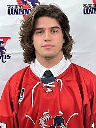 Nick Goodwin's Instagram, Twitter & Facebook