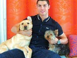 ẢNH] Ronaldo, Messi, Neymar và những ngôi sao bóng đá hết lòng yêu loài chó  | Báo điện tử An ninh Thủ đô