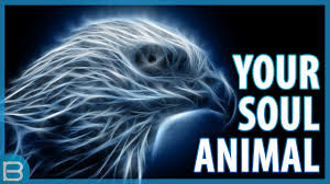 This will increase my knowledge. What Is Your Spirit Animal Youtube