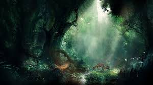 You will definitely choose from a huge number of pictures that option that will suit you exactly! 80 Fantasy Forest