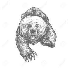 ours attaque isolee croquis d un animal agressif clip art libres de droits vecteurs et illustration image 90406314 coloriage fille fleur imprimable
