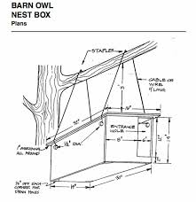 When drawing your barn owl pay particular attention to the underparts which are practically pure white. How To Build A Barn Owl Nest Modern Farmer