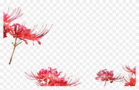 Almost files can be used for commercial. Anime Flower Flowers Kawaii Grevillea Superb Hd Png Download 1024x632 5751220 Pngfind