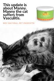 Pin On Real Pet Stories