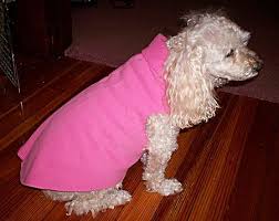 No Sew Dog Sweater Dog Sweaters Dog Clothes Dog Sweatshirt