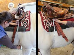 Do You Have The Right Size Cinch For Your Horse Weaver
