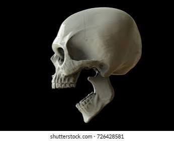 Screaming Skull Death 3d Illustration Stock Illustration 726428581 |  Shutterstock