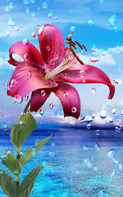 100 Latest Best 1080p Hd Wallpapers For Android Tech Maniya In 2020 Android Wallpaper Mobile Wallpaper Flower Phone Wallpaper