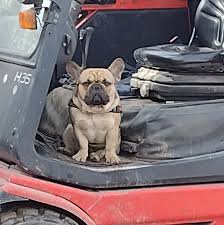 Profile for Stephen Rainford