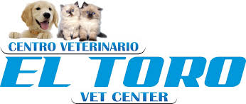 Actualmente, la escuela como tal ya no existe, pero pasó. Centro Veterinario El Toro Veterinaria En Buga Valle Del Cauca Servicio Medico Veterinario Especializado En Buga Valle Del Cauca Cirugia Hospitalizacion Imagenes Diagnosticas Laboratorio Clinico Terapia Respiratoria Y Alianzas