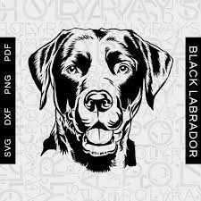 Labrador Svg Black Labrador Svg Doggo Svg Doge Svg My Lab Etsy Labrador Silhouette Animal Stencil Black Labrador