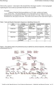 37 Thorough Gram Negative Unknown Flow Chart