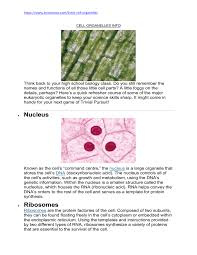 Maybe you would like to learn more about one of these? Cell Organelles Info