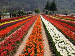 Get Your Avatars Here Beautiful Gardens Jammu And Kashmir Garden Images