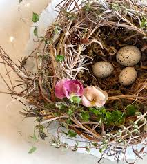 Foraging Happiness Diy Bird Nest Lecultivateur Bird Nest Craft Spring Birds Bird Nest