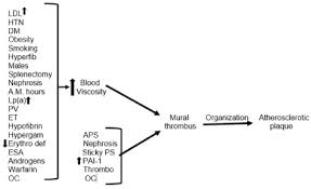 Maybe you would like to learn more about one of these? Why Atherothrombosis Is In Principle A Hematologic Disease The Effect Of Disorders And Drugs Which Affect Thrombosis On The Development Of Atherosclerotic Plaques