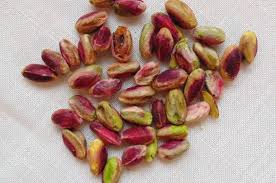 Recolte Et Rendement Du Pistachier Wikifarmer