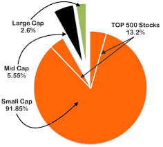 Since bottoming at $0.40 a share during the market meltdown in march, the stock price has appreciated a whopping. Penny Stocks Top Low Price Small Cap Indian Stocks How To Screen Them 2021 Getmoneyrich