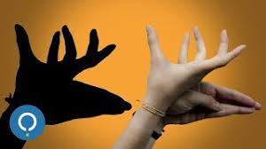 Make sure that you put out your smudge stick and dispose of it in an environmentally friendly way. How To Make Shadow Animals With Your Hands Youtube
