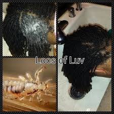 Facebook is showing information to help you better understand the purpose of a page. Sisterlocks Tm And Head Lice Locs Of Luv