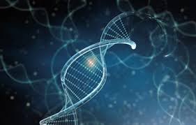 Let's solve the very interesting human body trivia questions!! 90 Mind Blowing Human Body Facts Factretriever Com