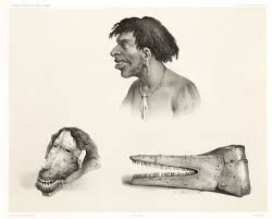 Naturel De L Ile Aroub Et Masques D Ecaille Du Meme Pays Torres Strait Antique Print Map Room Aboriginal People Melanesia History