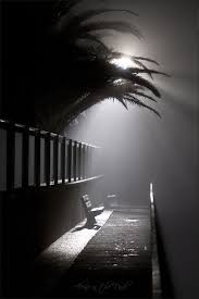 Black And White Night Photography Film Alone In The Dark Black And White Photographs Alone In The Dark Black And White